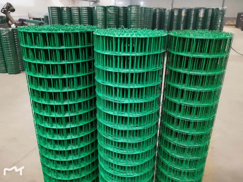 安定荷兰网